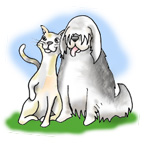 Dog and cat